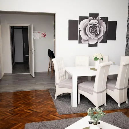 Primula Daire Subotica