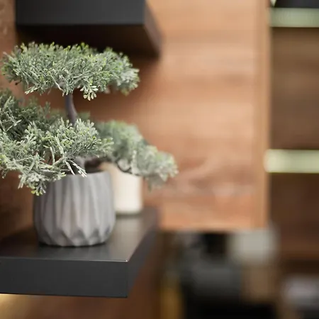 Primula Daire Subotica