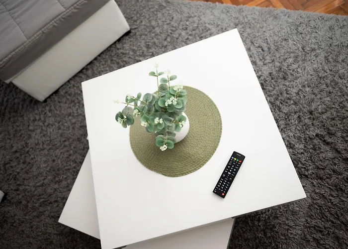 Primula アパート スボティツァ